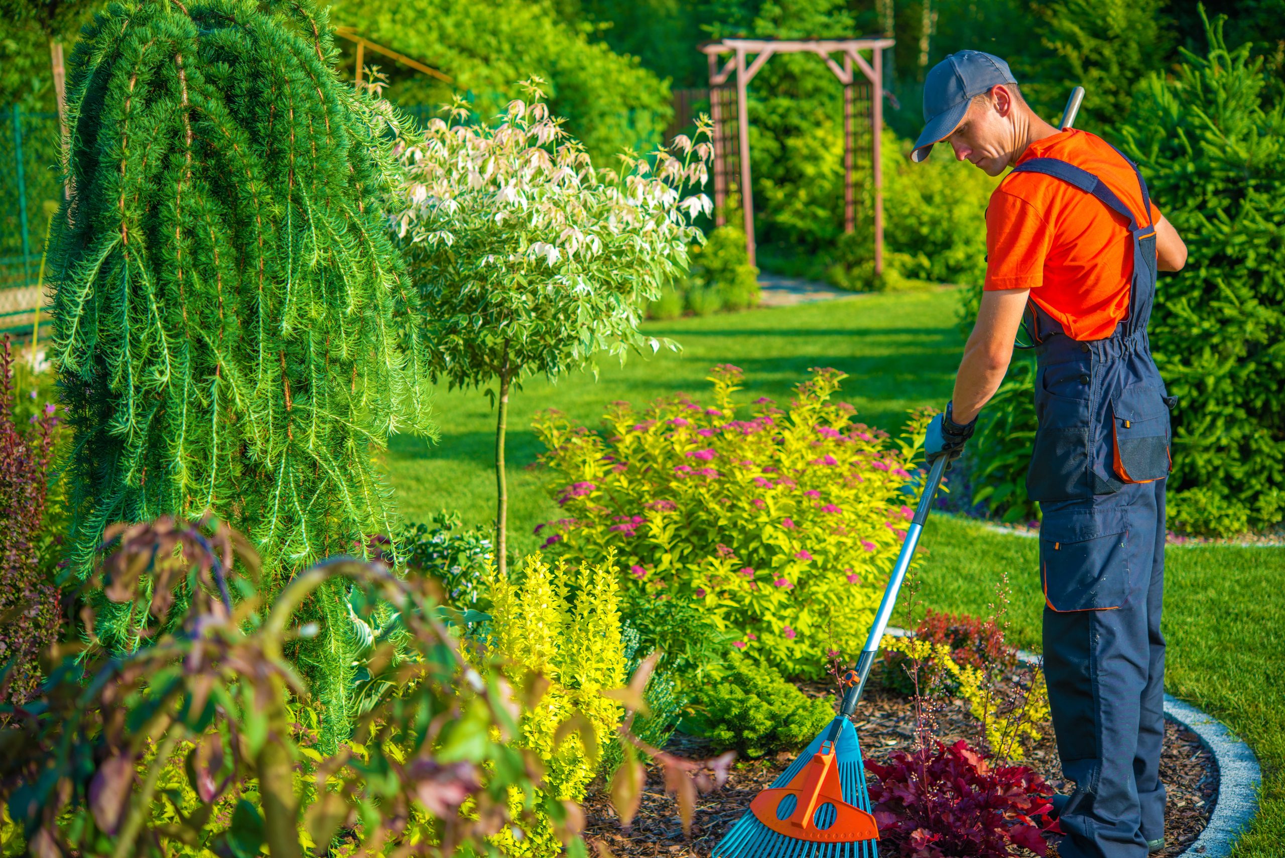 Raking in the Garden. Gardener with Rake at Work. Backyard Garden Summer Clean Up.